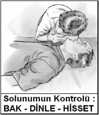 Solunum ve solunum yolu sorunları - açıklayıcı şekil 4