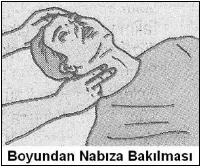 Dolaşım, canlandırma ve kanamalar - açıklayıcı şekil 1