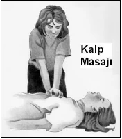Dolaşım, canlandırma ve kanamalar - açıklayıcı şekil 1