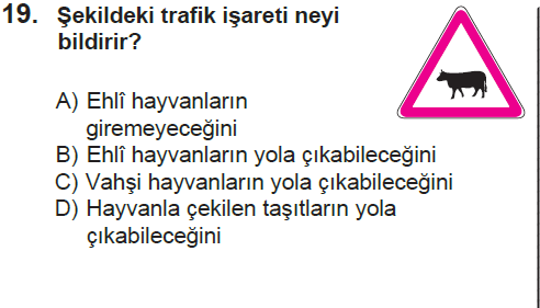 Genel deneme 1, 19. sorunun metni ve seçenekleri